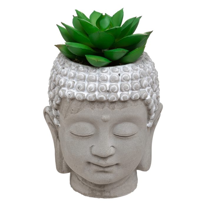 Boeddha met plant