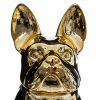 Bulldog goud H22cm