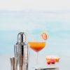 Cocktailset RVS 5-delig 600ml