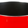 Steelpan inductie rood D18cm
