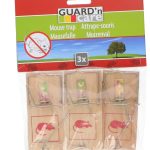 Houten Muizenval 3 st