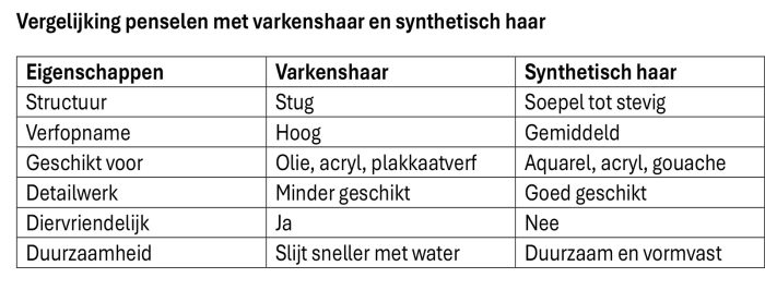 Penselen set varkenshaar plat-rond 12-dlg