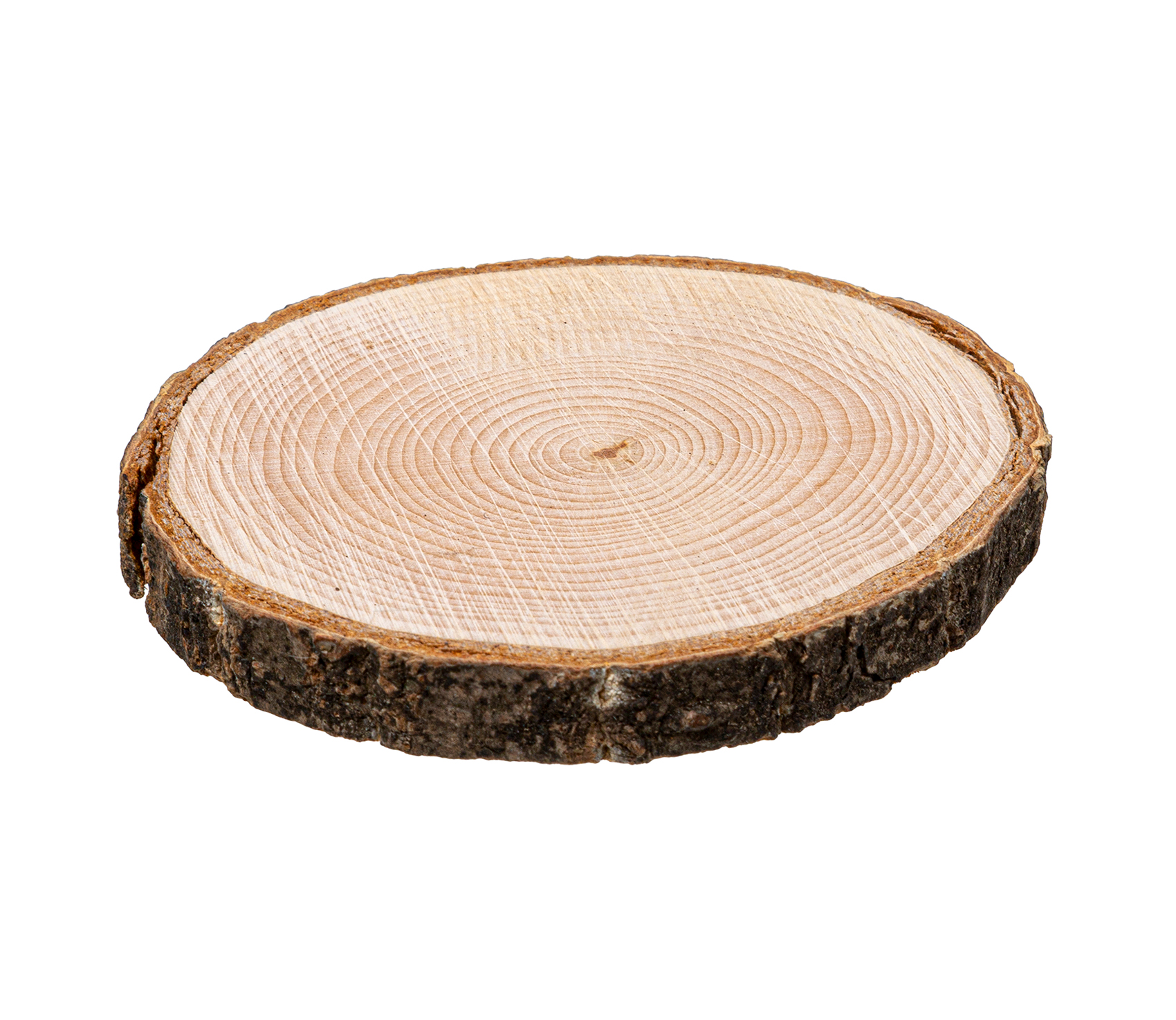 Boomschijf onderzetters ca.10cm 4 stuks