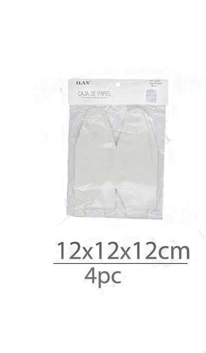 Kubusdoosje karton wit met handvat 12*12*12cm 4st